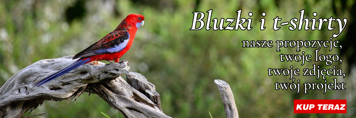 Bluzy, T-shirty